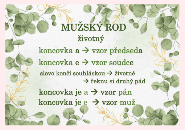 Vzory podstatných jmen – plakáty do třídy - Image 6