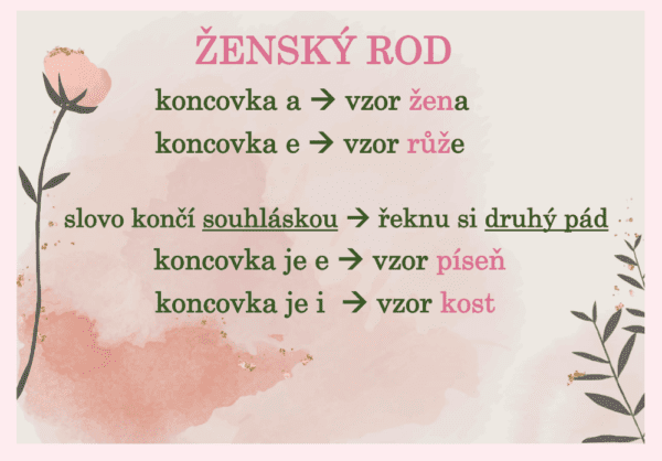 Vzory podstatných jmen – plakáty do třídy - Image 8