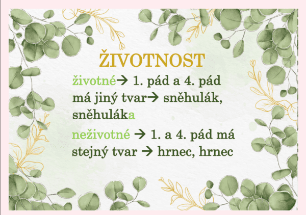 Vzory podstatných jmen – plakáty do třídy - Image 3